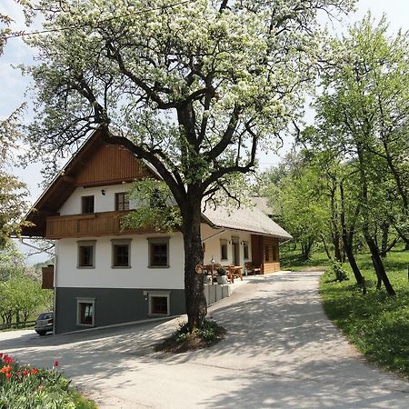 Farm Stay Dolinar Krainer Bohinjska Bela Buitenkant foto