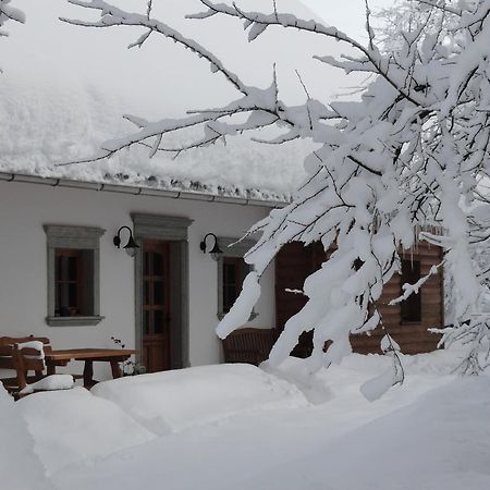 Farm Stay Dolinar Krainer Bohinjska Bela Buitenkant foto
